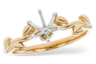 C320-33560: LDS SEMI RG